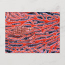 Search for up and fish postcards Animal