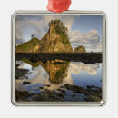 Search for sunrises christmas tree decorations Sea