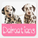 Search for dalmatian dog stickers Puppy