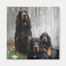 Search for for general birthday magnets Dog