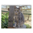 Search for rescue calendars Cat