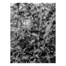 Search for black and white halloween posters Nature