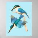 Search for cute bird drawing posters Watercolor