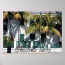 Search for tree key posters Florida