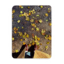 Search for greeting card magnets Autumn