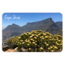 Search for cape town magnets Table mountain