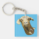 Search for cute animal key rings Wildlife