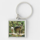 Search for grey wolf key rings Animal photography
