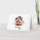 Search for yorkie cards Sorry