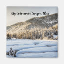 Search for cold weather magnets Nature
