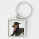 Search for doberman key rings Animal