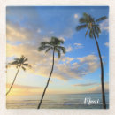 Search for blue trees barware Hawaii