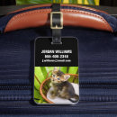 Search for basket travel accessories Domestic animals
