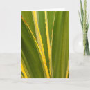 Search for agave cards Flora