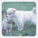 Search for two rabbits stickers Nature