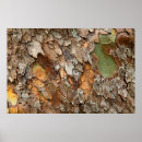 Search for tree bark art North america