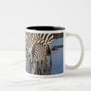 Search for zebras drinking mugs Equus quagga