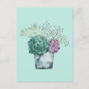 Search for collection postcards Cactus