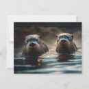 Search for penpalling postcards Snail mail
