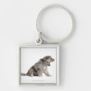 Search for one animal square key rings Nature