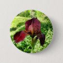 Search for crimson badges Flower