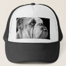 Search for bulldog hats Animals