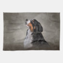 Search for mountain dog Animals