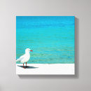 Search for bay canvas prints Sailboat