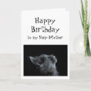 Search for fun cat birthday cards Funny