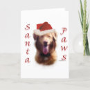 Search for santa paws cards Animals