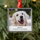 Search for photo pet memorials Sympathy