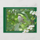 Search for mousepad postcards Bird