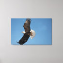 Search for flight canvas prints Raptor