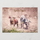 Search for piglet birthday invitations Party