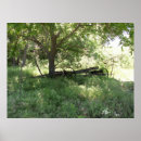 Search for olden Rural