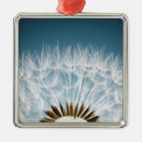Search for weed christmas tree decorations Dandelion