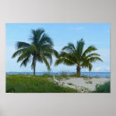 Search for treasure island posters Palm trees