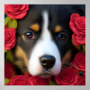 Search for corgi posters Cute animal