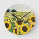 Search for field clocks Sunflowers