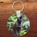 Search for purebred key rings Cat
