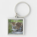 Search for panthera key rings Nature