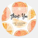 Search for orange slice stickers Summer