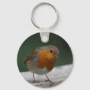 Search for robin key rings Wildlife