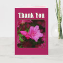 Search for azaleas cards Pink