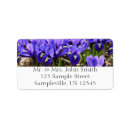 Search for irises labels Floral