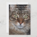 Search for cat death sympathy cards Kitten