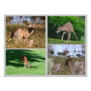 Search for fawn nursery decor Doe