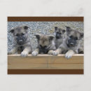 Search for norwegian postcards Cute