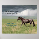 Search for mustang horses posters Wild
