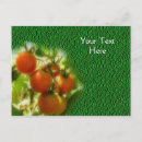 Search for vine postcards Vegetable